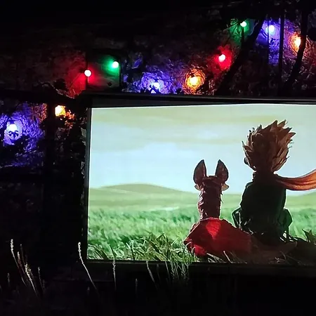 Apartment Fox Tale