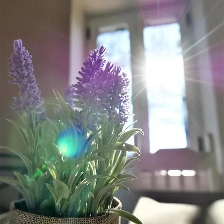 Fox Tale Apartament