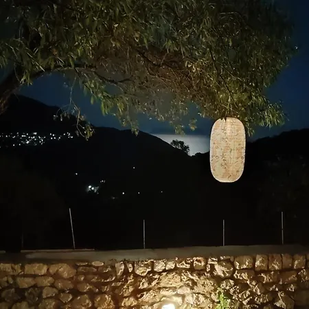 Fox Tale *